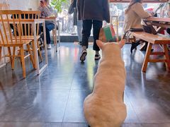 -Egg•Allday Brunch(襄阳北路店)