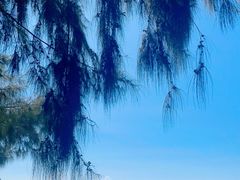 -巽寮湾