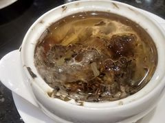 -新兴·金羊座·粤菜点心(乐峰店)