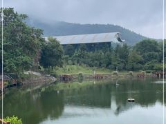 -龙吟九品(青龙山庄店)