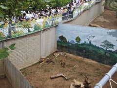 -西霞口神雕山野生动物世界