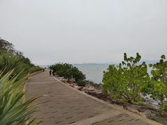 -深圳湾公园(南山区)