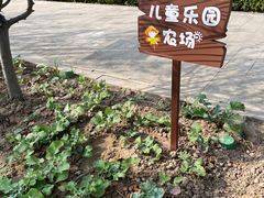 -上海山野camping·户外天幕烧烤·团建拓展营地