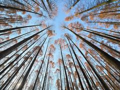 -山王坪喀斯特国家生态公园