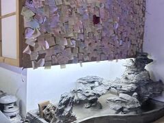 -白兔子密室(长寿路店)