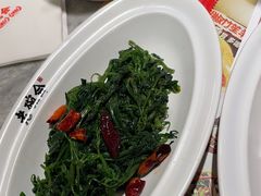 -老碗会·陕西手工面(中心书城店)