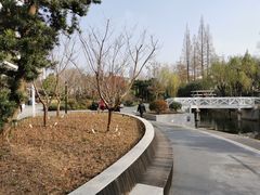 -兰溪青年公园