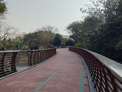 -王借岗森林公园