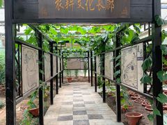 -上海都市菜园