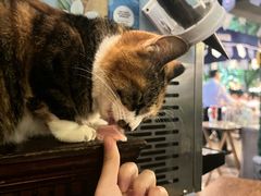 -宝莱纳餐厅(滨江店)