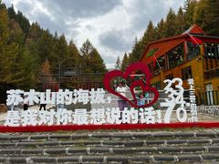 -苏木山森林公园