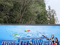 -日照海滨国家森林公园