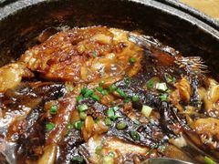 -新海渔港·胶东海鲜家常菜·家宴(奥体中心店)