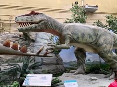 -国家自然博物馆