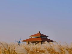 -宁波杭州湾国家湿地公园