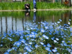 -上海共青森林公园