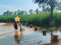 -绿堤公园