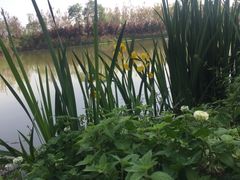 -白鹭湾湿地公园