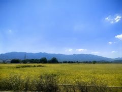 -黄牛肉馆·皖南土菜