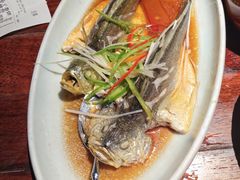 -前海沿·青岛菜(五四广场永旺店)