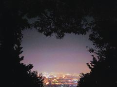 -惠山国家森林公园