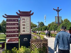 -赵州桥景区