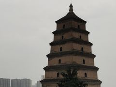 -云海肴汽锅鸡·云南小炒(曲江大悦城店)