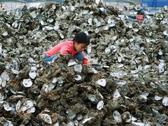 -蚝乡农庄(铁涌赤岸店)