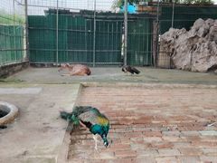 -八景休閒山莊  廣東十大名山莊