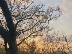 -江南天池