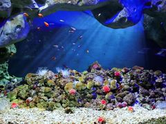 -福州罗源湾海洋世界旅游区