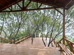 -大岭沟猕猴桃谷风景区