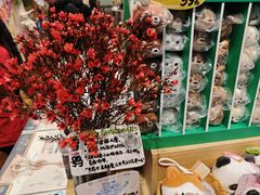 -猫的天空之城概念书店(杭州南宋御街店)