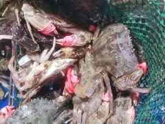 -蓝珊甄选海鲜自助·火锅大排档(近阿那亚店)