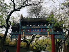 -北京国子监胡同