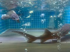 -稷泽·海丽宾雅温泉度假酒店