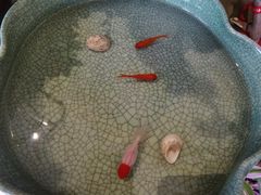 -萤火虫咖啡(后海店)