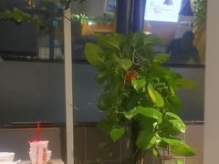 -嘉和一品粥(方庄店)