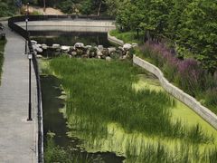 -白水寺森林公园