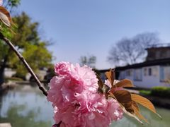 -黎里古镇