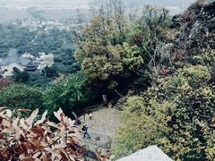 -树山生态村
