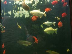 -弘安丽水温泉酒店