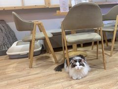 -白兔子密室(长寿路店)
