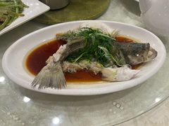 蒸鲈鱼-大湾区鑫南酒家·粤菜(黄岐店)