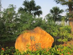 -顺德职业技术大学