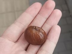 糖炒栗子-秋栗香(地安门店)