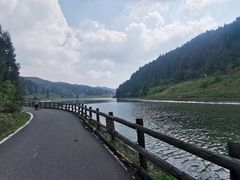 -武陵山森林公园