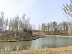 -东郊湿地公园