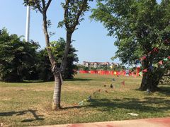-万绿园