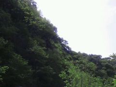 android_upload_pic-沕沕水生态风景区